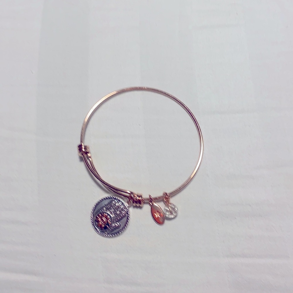 Rose gold protection bangle bracelet used
